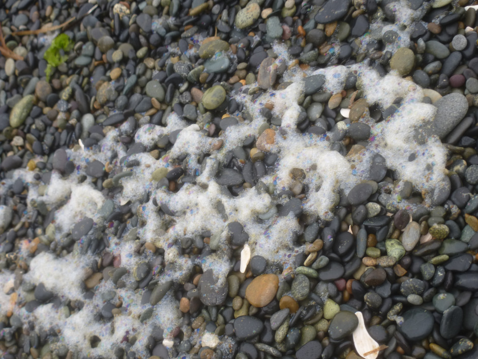 Haida Gwaii Agate Beach Tracey Maynard